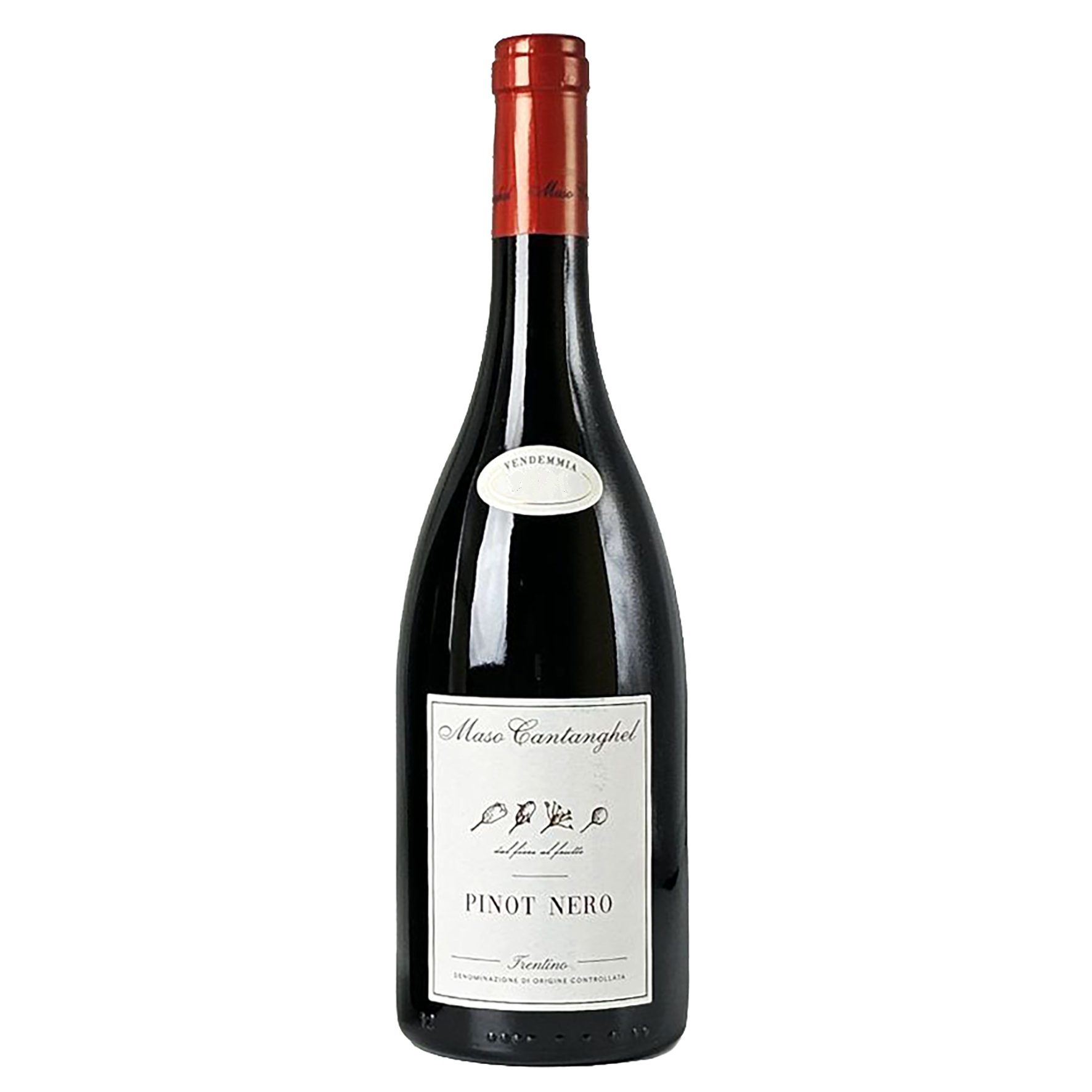 Pinot Nero